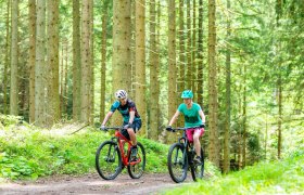 MTB_Wald, © Mostviertel