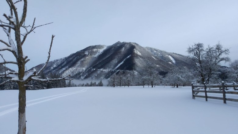 Winterpanorama, © Magdalena Danner