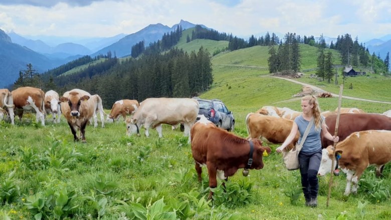 Alm Siebenhütten, © Birgit und Christoph Hagen