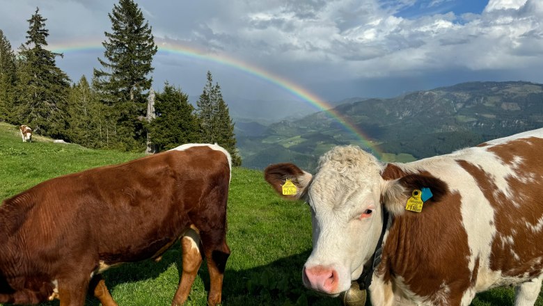 Alm Siebenhütten, © Birgit und Christoph Hagen