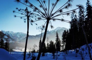 Winterlandschaft, © Raphaela Schnabler