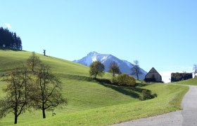 Blick auf Voralpe, © Mostviertel