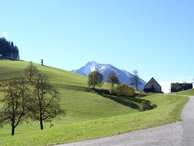 Blick auf Voralpe, © Mostviertel