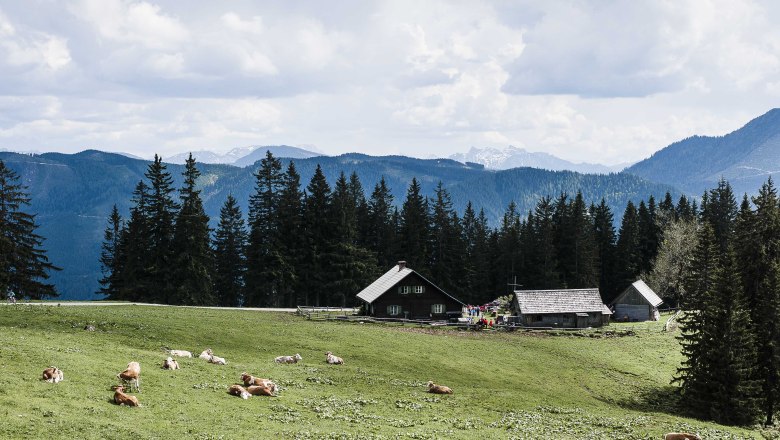 Blick auf die Kitzhütte, © Thomas Steineder